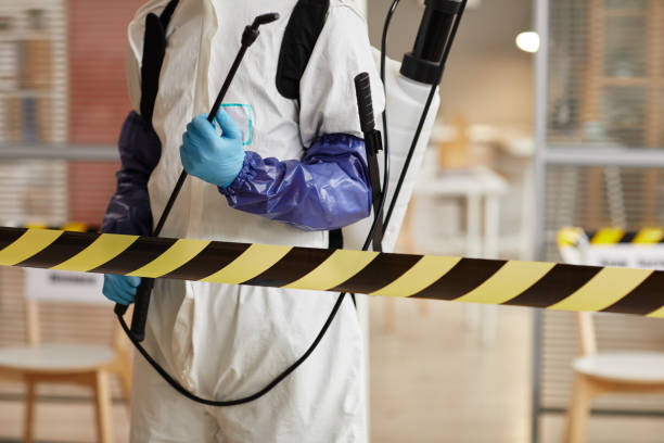 Professional Blood Cleanup technician working in San Simeon, CA
